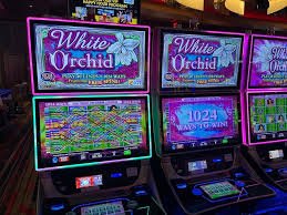 Tampilan antarmuka Mesin Arcade di platform sanoybonito dengan berbagai pilihan permainan tembak ikan dan koin
